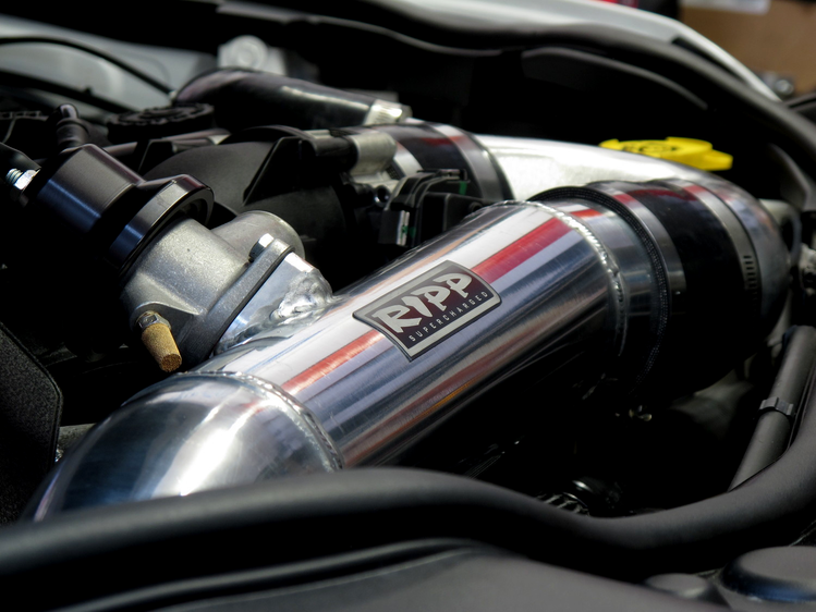 RIPP performance components, highlighting precision engineering for seamless installation