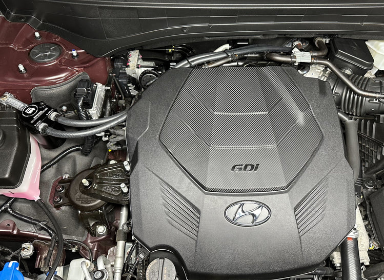 RIPP 3.8L Hyundai Palisade, Kia Telluride Catch Can System