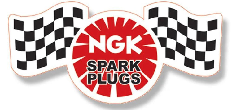 NGK Spark Plugs HEMI (5.7L, 6.4L)
