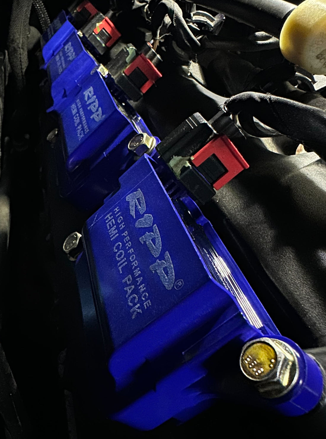 RIPP Modifications